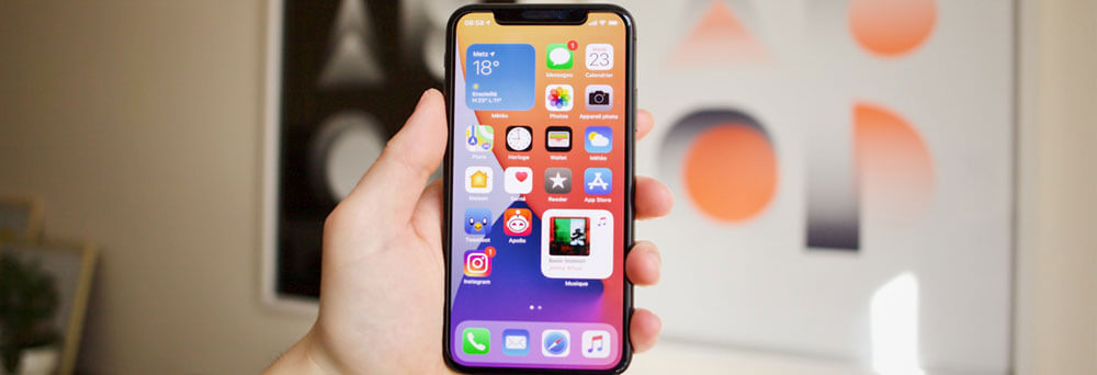 Native iOS App Development